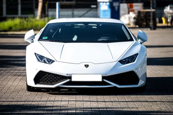 Kaszinó Dogs Fortune Android/iOS Alkalmazás